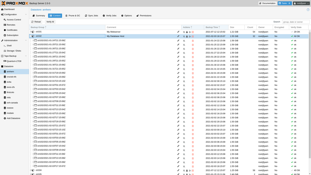 Captura de pantalla 1 del servidor de copia de seguridad Proxmox